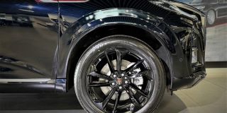 gallery_thumb-image