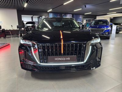 Hongqi H9 3.0 AT (326 л.с.) 4WD Executive
