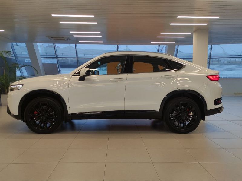 Knewstar 001 2.0 AT (200 л.с.) 4WD Flagship sport_image