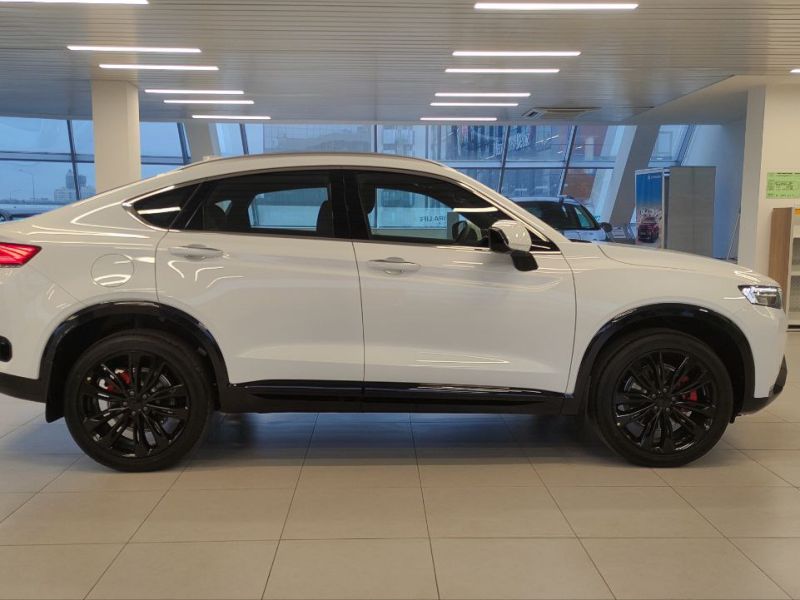 Knewstar 001 2.0 AT (200 л.с.) 4WD Flagship sport_image