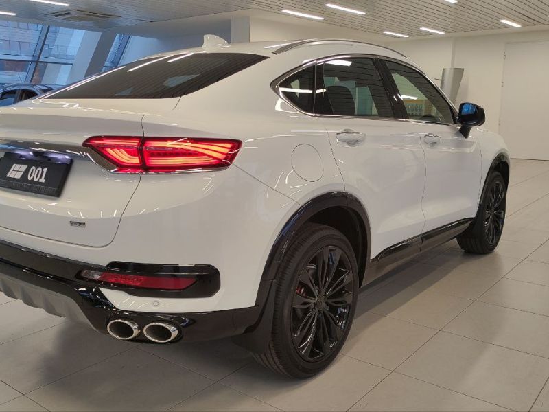 Knewstar 001 2.0 AT (200 л.с.) 4WD Flagship sport_image