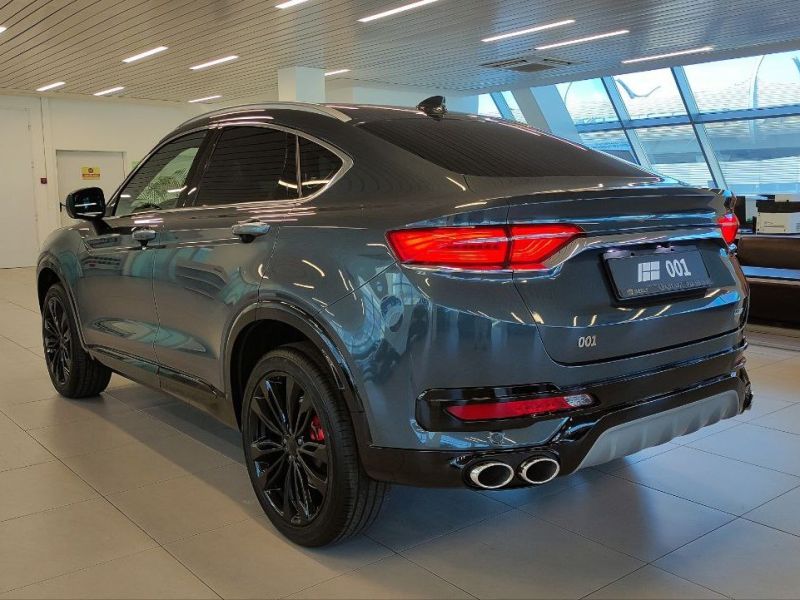 Knewstar 001 2.0 AT (238 л.с.) 4WD Flagship sport_image