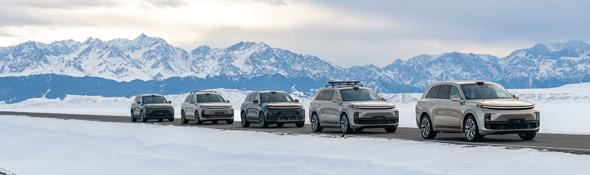 Li Auto в наличии